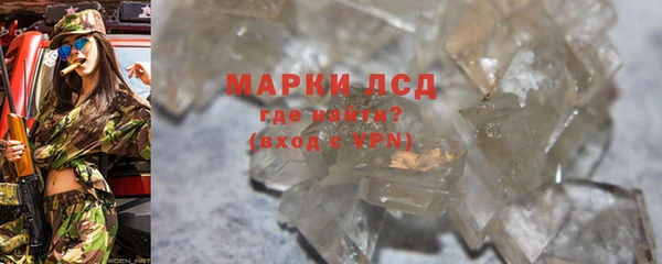 сатива Горнозаводск