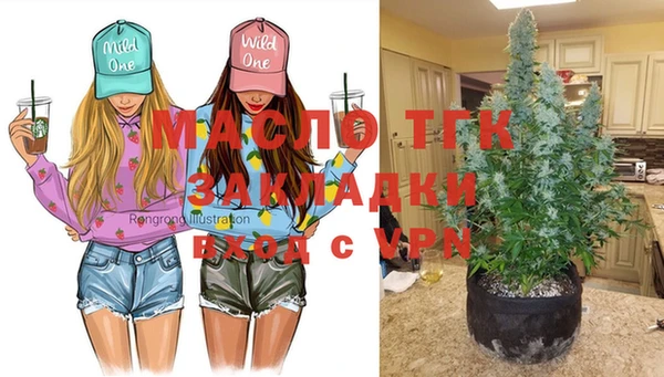 сатива Горнозаводск