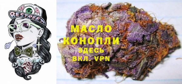 сатива Горнозаводск