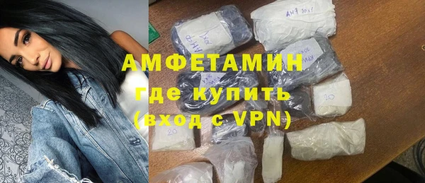 ГАЛЛЮЦИНОГЕННЫЕ ГРИБЫ Тайга