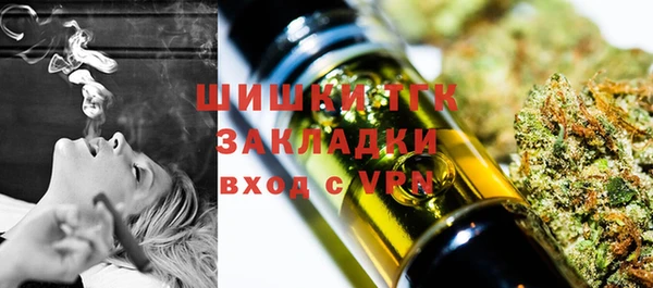 сатива Горнозаводск