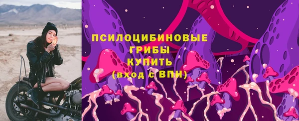сатива Горнозаводск