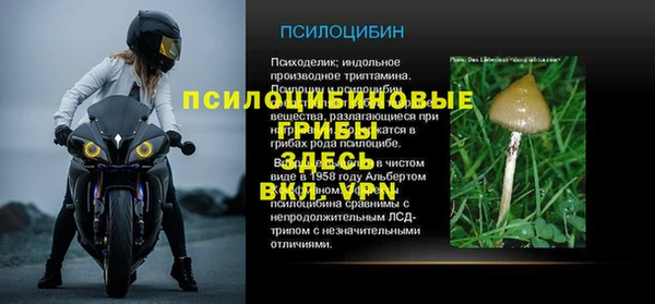 ГАЛЛЮЦИНОГЕННЫЕ ГРИБЫ Тайга